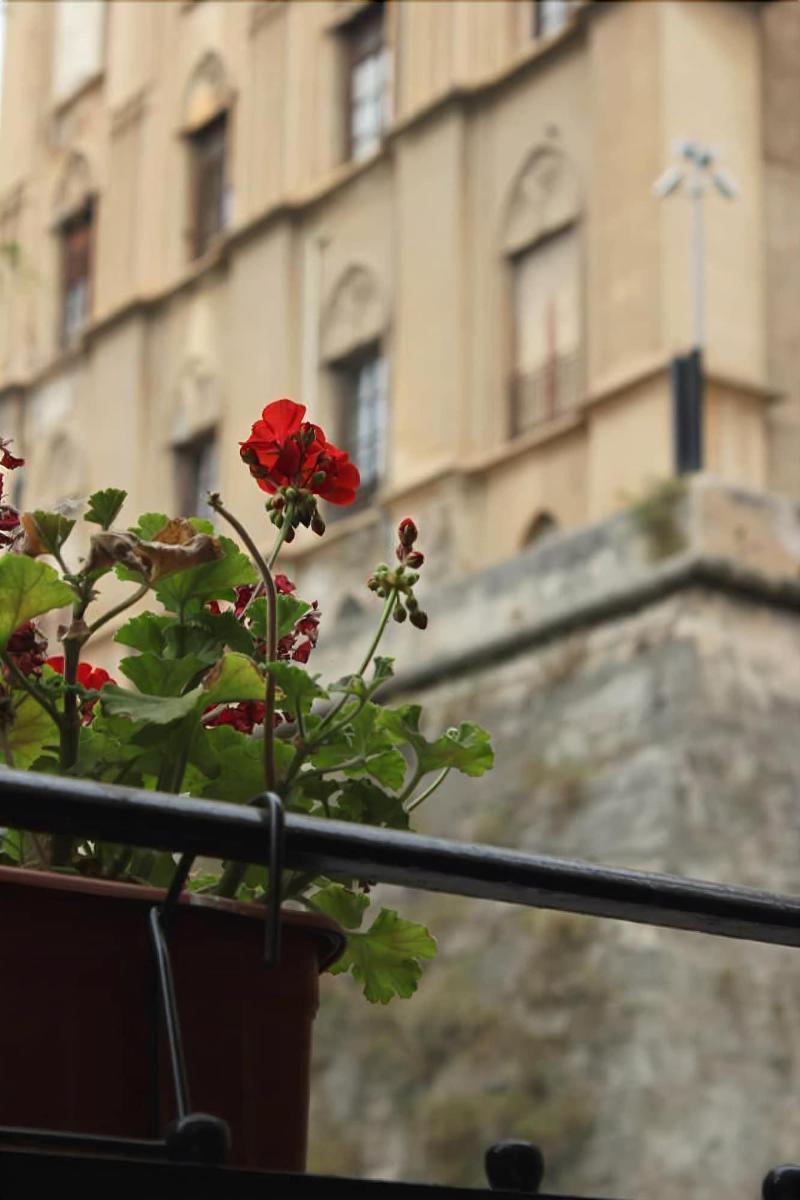 B&B "Al Bastione Normanno 팔레르모 외부 사진